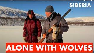 Survive Among the Wolves  ALONE WITH WOLVES  Siberia  Adventure  Bushcraft in Siberia