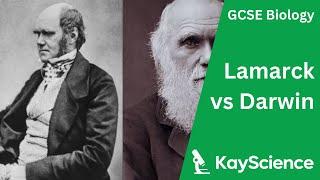 Lamarck vs Darwin - Biology GCSE  kayscience.com