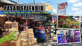 BLUSUKAN DI PASAR HEWAN TERBESAR KOTA MALANG  FULL REVIEW PASAR SPLENDID MALANG