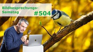 Bildbesprechung 504