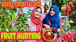 എൻ്റ വീട്ടിലെ fruits garden  fruits hunting  plants hunting  15 varieties of fruits 