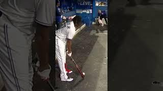 Vlad Guerrero Jr. Professional golfer? 