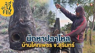 นักหาปลาไหล บ้านโคกเพชร จ.สุรินทร์  ซีรีส์วิถีคน