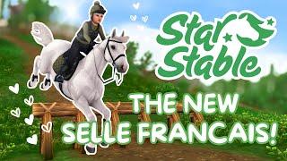 Buying The New Selle Francais + New Show Jumping II My Honest Opinion II Star Stable Online