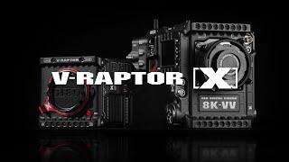 V-RAPTOR X 8K VV  Official Introduction  #ShotonRED