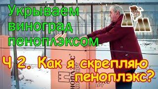  Зимнее укрытие винограда пеноплэксом - 2. Как я скрепляю пеноплэкс