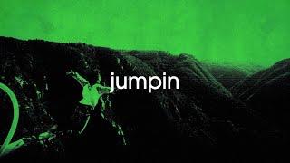 Tiger Palm - Jumpin