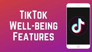 TikTok Well Being Features - Mental Health Resources & Warnings