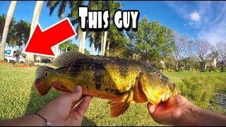 Guy Yells At Me From The Street As I Catch a HUGE Fish