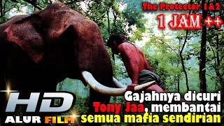Full Aksi Tony Jaa Menyelamatkan Gajahnya Dari Para Mafia - Alur Film Terbaru