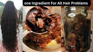 For All Your Hair Problems Use This One Ingredient  இந்த ஒரு பொருள் போதும் முடி காடு மாதிரி வளரும்