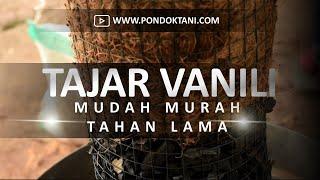 CARA MEMBUAT TAJAR BUATAN TANAMAN SULUR VANILI