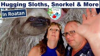 Sloths White Sand & Pool time in Roatan  Sky Princess Day 4
