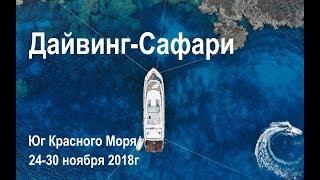 Дайвинг - Сафари Юг Красного Моря с Divers.ua