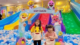 Main Ke Playground Baby Shark Mandi Bola dan Perosotan Warna Warni