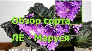 Обзор сорта ЛЕ   Маруся