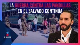 Nayib Bukele anuncia nueva ofensiva contra pandillas en El Salvador  Noticias con Francisco Zea