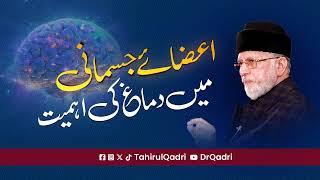 The significance of the brain among the bodys organs  Shaykh-ul-Islam Dr Muhammad Tahir-ul-Qadri