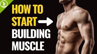 How To Start Building Muscle For Beginners
