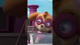 Skye rettet Humdinger aus einem verrückten Hubschrauber - #PAWPatrol #Shorts Germany