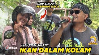 IKAN DALAM KOLAM VERSI ARABIC COVER NASROUEL DANGDUT JALANAN LOMBOK IRAMA DOPANG