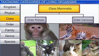 CBSE Class 11 Biology  The Living World  Full Chapter  By Shiksha House