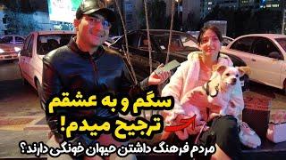 With iranian people فرهنگ داشتن سگ و گربه در ایران - حیوان خانگی داشتن خوبه یا بد؟