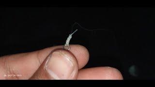 how to tie a swivel on a string  cara mengikat Kili Kili pada senar