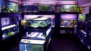 Fish Room Tour Summer 2024