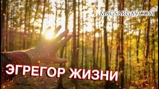 Эгрегор Жизни - Маг Sargas