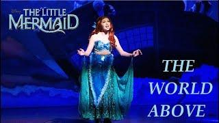 The Little Mermaid  The World Above  Live Musical Performance