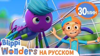 Пауки и Паутина  Обучающие мультики для детей  Blippi Russian