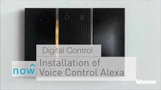 Living Now Digital Controls - 3 modules - Installation of Voice Control Alexa