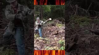 Firewood Harvest