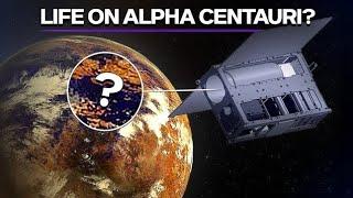 What Would Happen If We Found Life On Alpha Centauri?