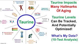 Optimizing Plasma Taurine 10-Test Analysis