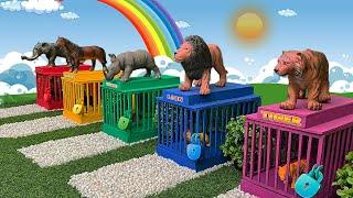 Baby Animals Meet Green Aliens - Rhino Horse Elephant Tiger and Lion