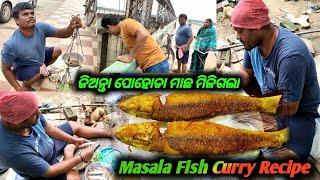 ଜିଅନ୍ତା ପୋହୋଡ଼ା ମାଛ ମିଳି ଗଲା Masala Fish Curry RecipeFish RecipeVillage Style Fish Curry Recipe