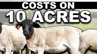 COST OF PREPPING 10 ACRES FOR SHEEP  USA Homesteading Farming Small Scale Sheep for Beginners