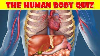 Human Body Quiz  How Much Do You Know About the Human Body?