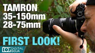 TAMRON 35-150mm & TAMRON 28-75mm G2 Field Test in Nature Trails
