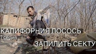 калифорния лосось 2 серия