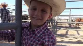 Father gives mutton busting tips to 4-year-old son