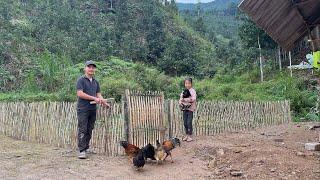 Continue to help the poor girl renovate her vegetable garden. Make a chicken fence