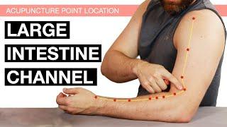 Acupuncture Point Location The Large Intestine Channel Large Intestine Meridian