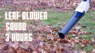 Leaf Blower Sound 3 Hours