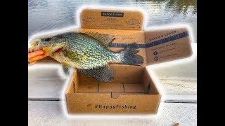 Mystery Tackle Box PANFISH SLAM January 2018