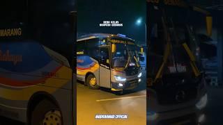 SINDIRAN KERAS BUS SUGENG RAHAYU BEDA KELAS NGAPAIN DIBAHAS