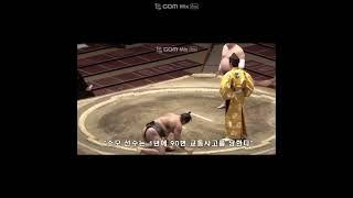 스모 선수가 빨리 죽는 이유는 교통사고?