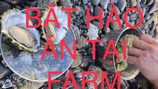 ️ Vlog 61 Bắt hào ăn tại farm bên đảo Vancouver Island BC Canada